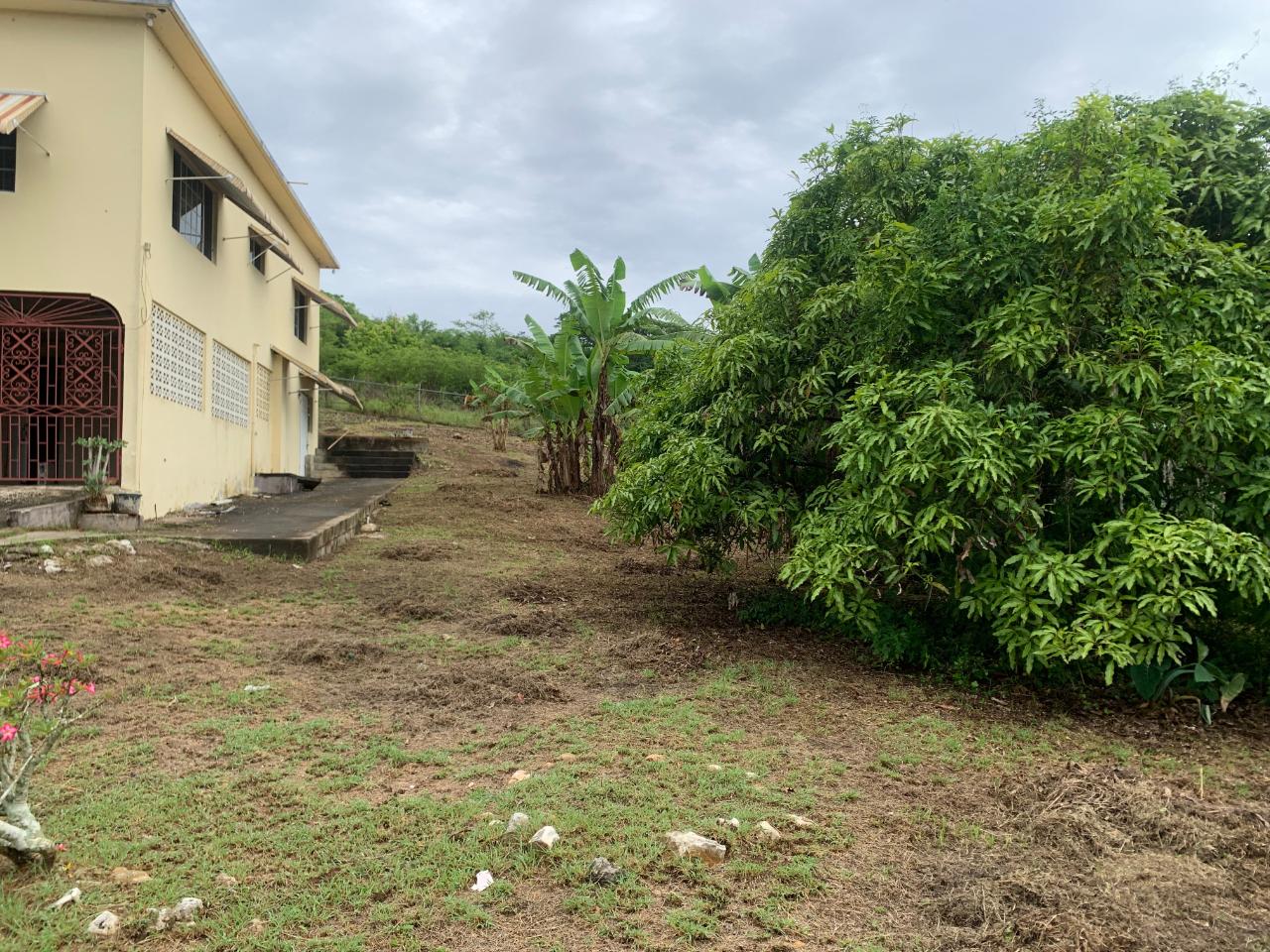 Fifth image of Green Park Trelawny in Falmouth, Trelawny, Jamaica - property is For Sale