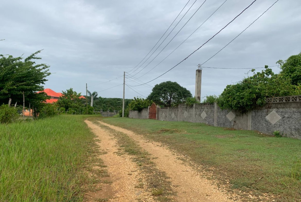 Seventh image of Green Park Trelawny in Falmouth, Trelawny, Jamaica - property is For Sale