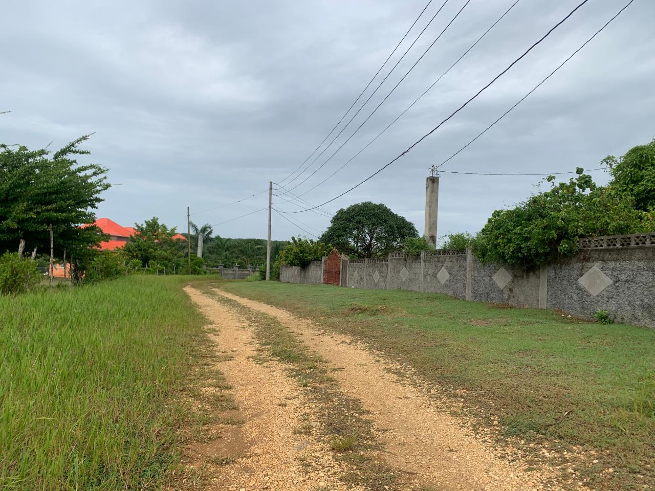 Seventh image of Green Park Trelawny in Falmouth, Trelawny, Jamaica - property is For Sale