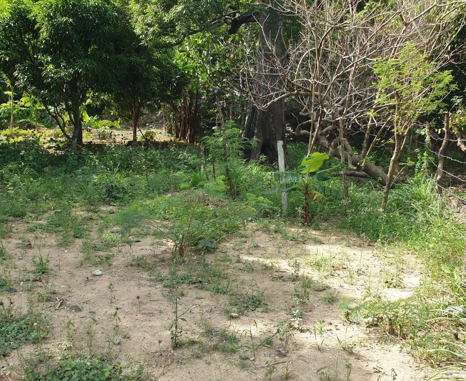 Eleventh image of Smithfield, Llandewey P.o in Llandewey, St. Thomas, Jamaica - property is For Sale