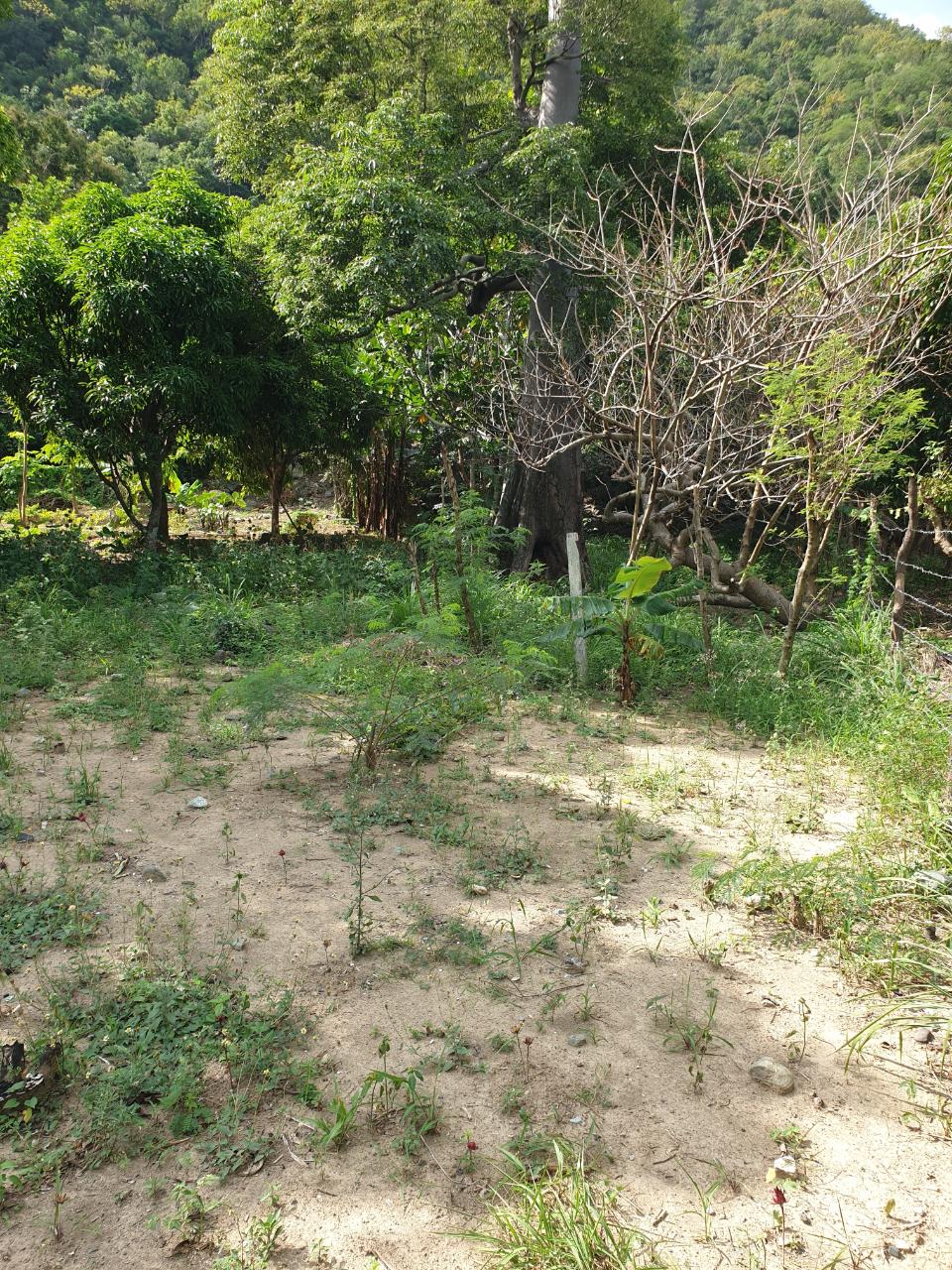 Spacious-4-Bedroom-House-for-Sale-in-Smithfield-St.-Thomas-Jamaica Eleventh image of Smithfield, Llandewey P.o in Llandewey, St. Thomas, Jamaica - property is For Sale