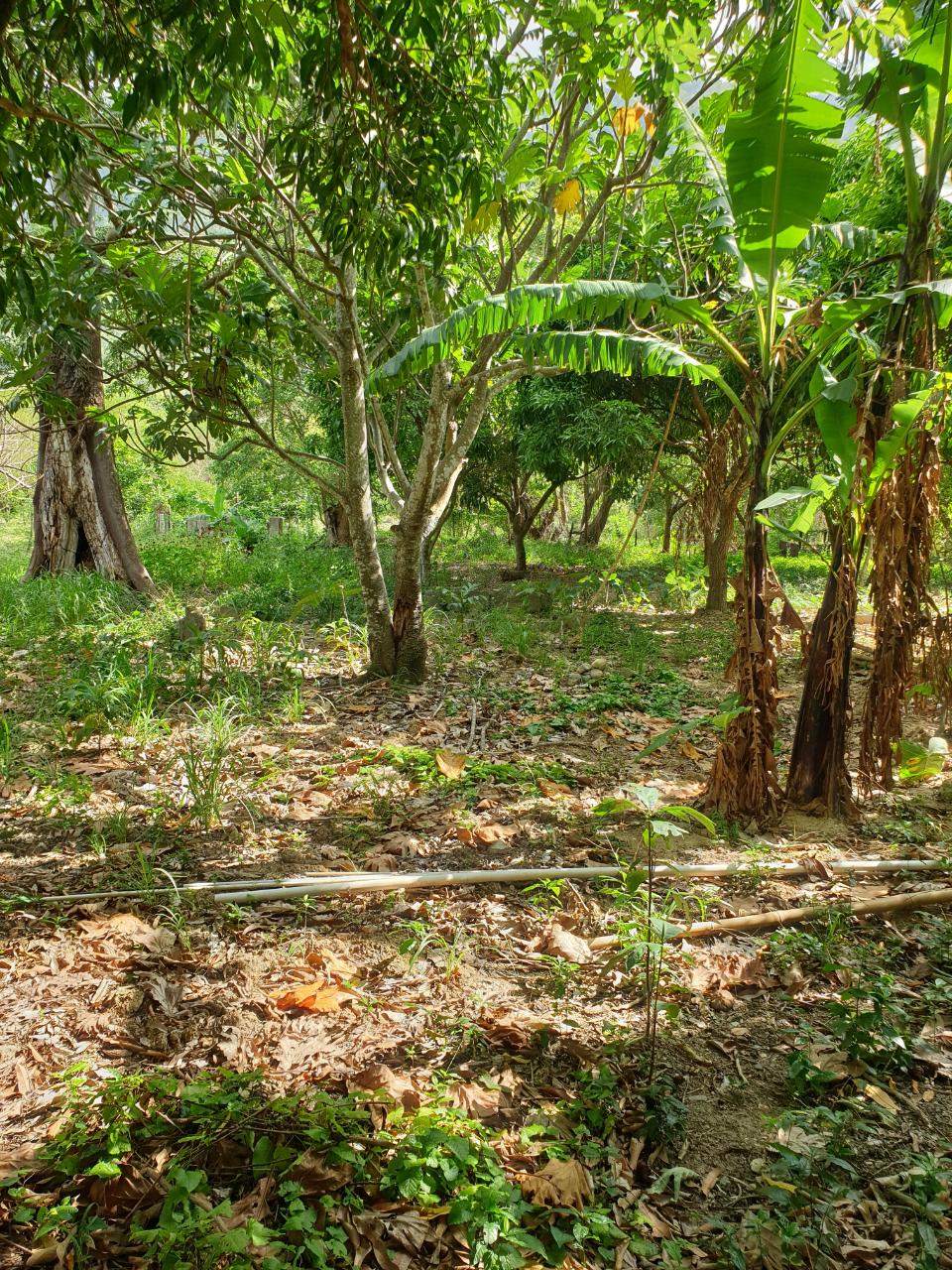 Spacious-4-Bedroom-House-for-Sale-in-Smithfield-St.-Thomas-Jamaica Twelfth image of Smithfield, Llandewey P.o in Llandewey, St. Thomas, Jamaica - property is For Sale