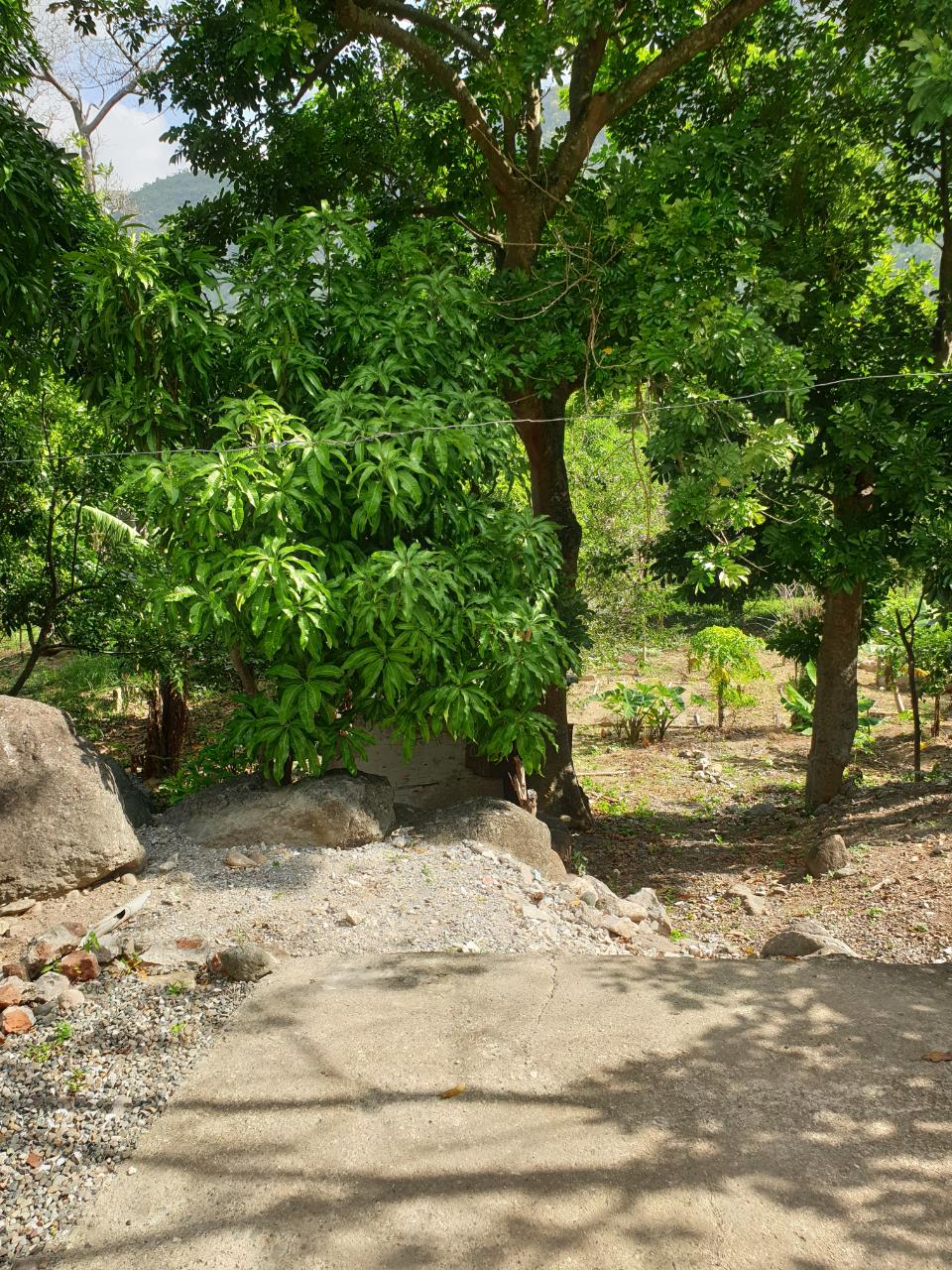 Spacious-4-Bedroom-House-for-Sale-in-Smithfield-St.-Thomas-Jamaica Eighth image of Smithfield, Llandewey P.o in Llandewey, St. Thomas, Jamaica - property is For Sale