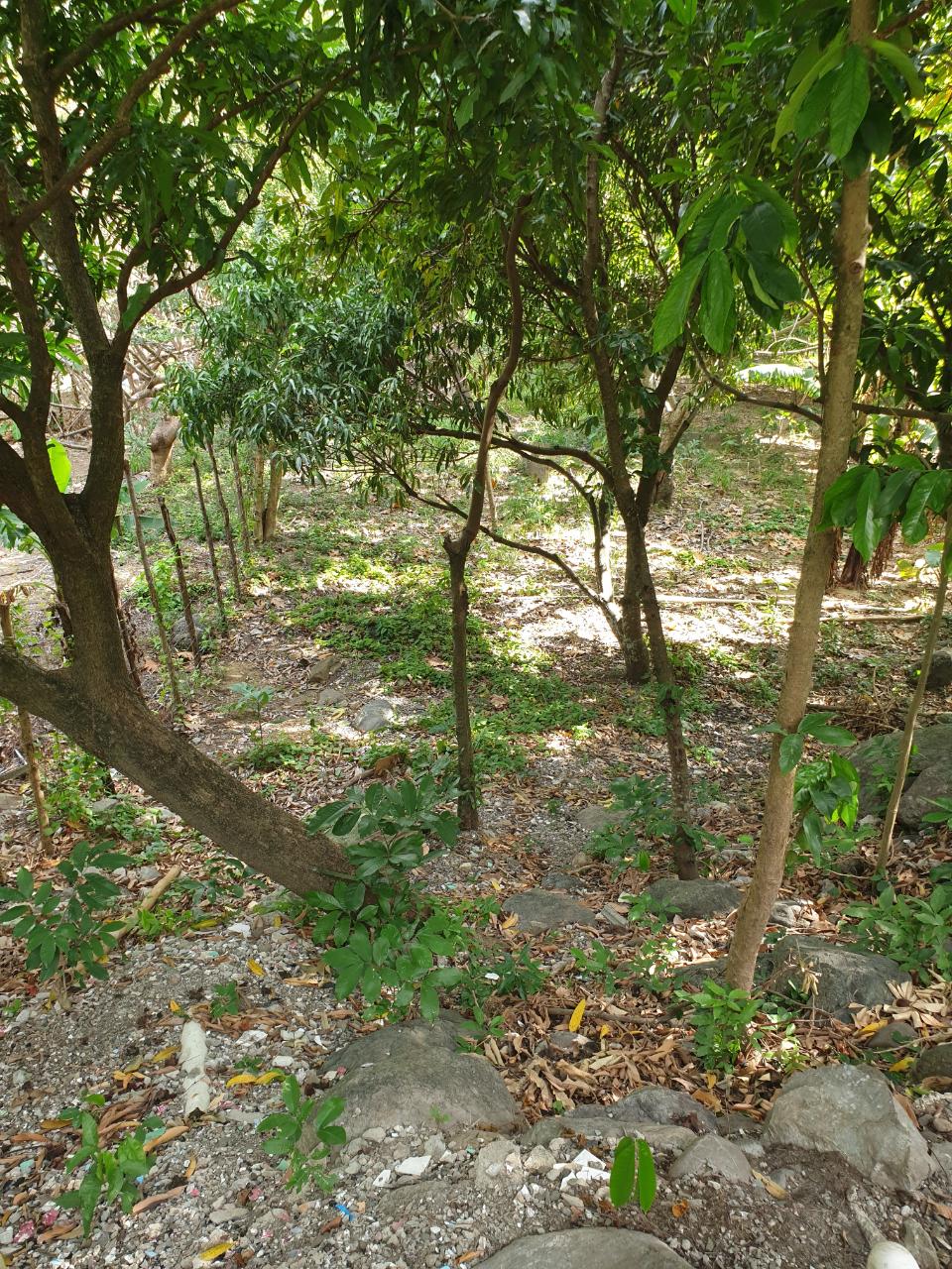 Spacious-4-Bedroom-House-for-Sale-in-Smithfield-St.-Thomas-Jamaica Ninth image of Smithfield, Llandewey P.o in Llandewey, St. Thomas, Jamaica - property is For Sale