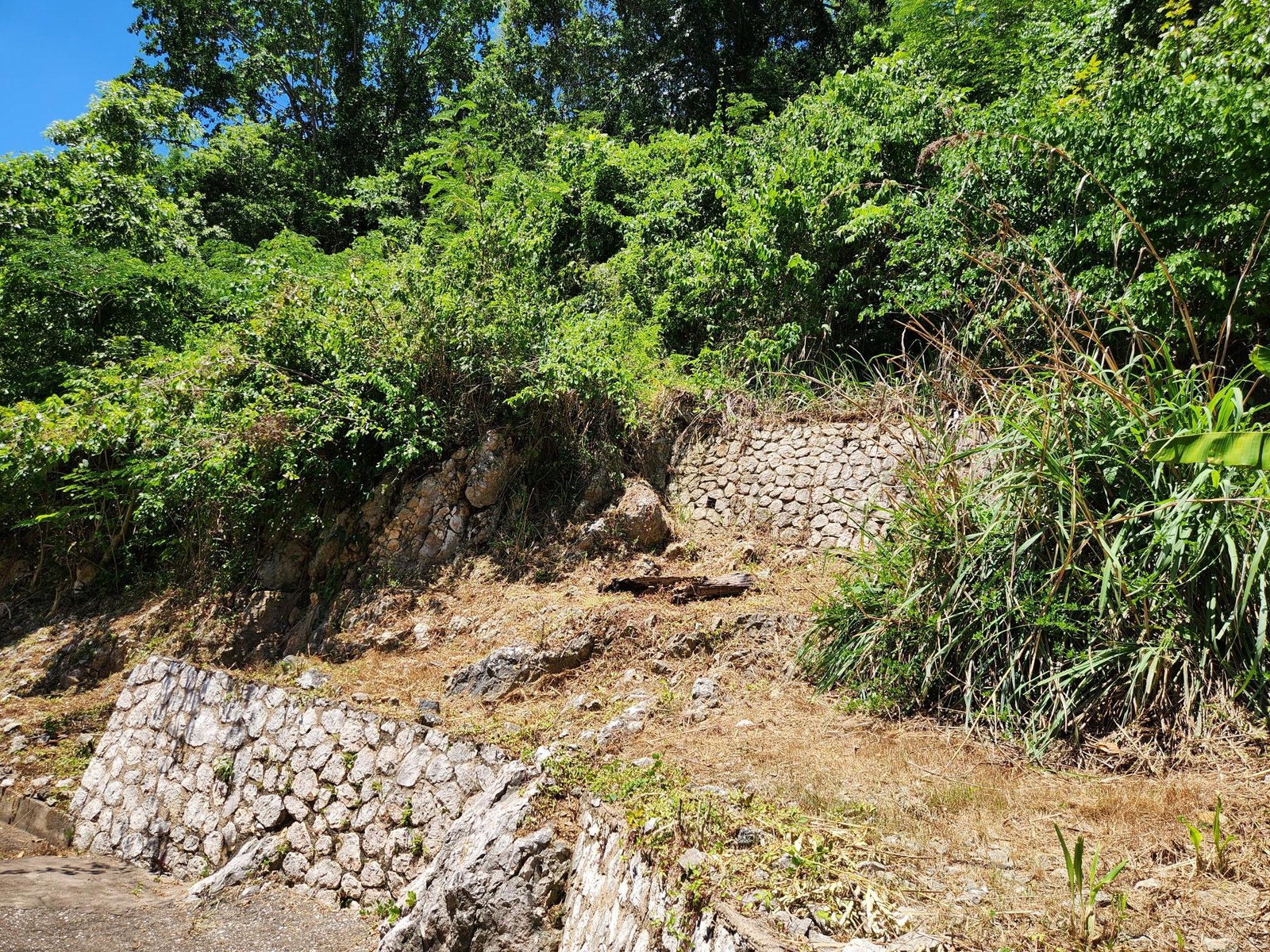 Fourteenth image of Lipscombe Avenue in Kingston 9, St. Andrew, Jamaica - property is For Sale
