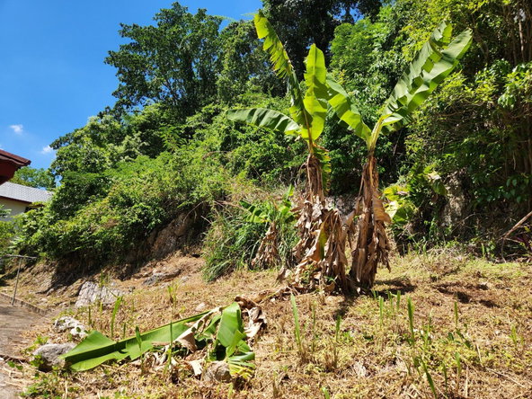 Fifteenth image of Lipscombe Avenue in Kingston 9, St. Andrew, Jamaica - property is For Sale