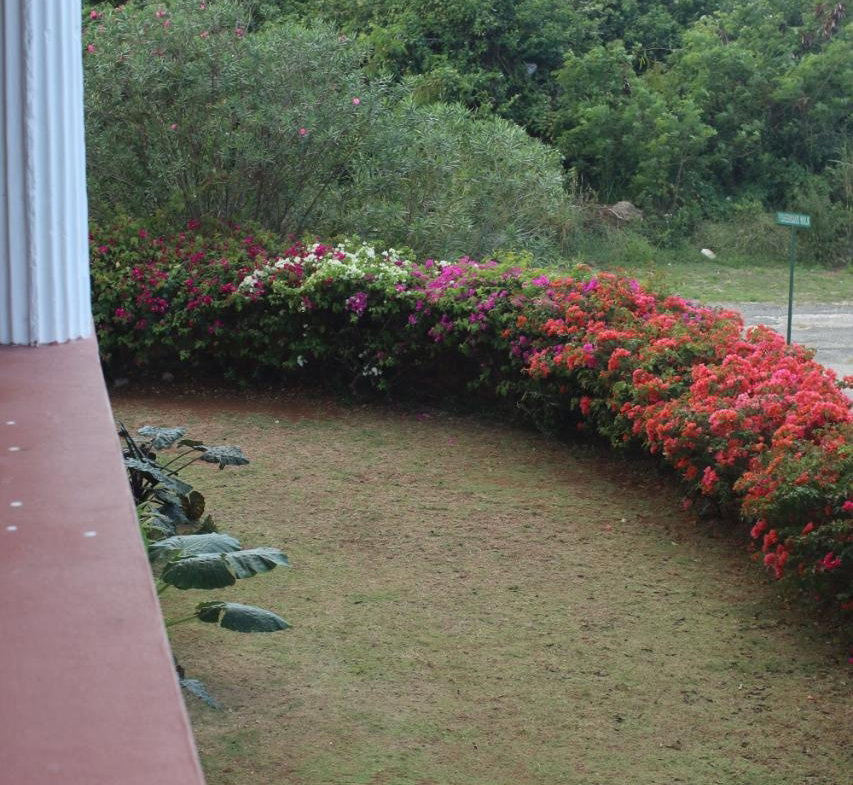 Sixth image of 47 Fisherman Walk in Duncans, Trelawny, Jamaica - property is For Rent