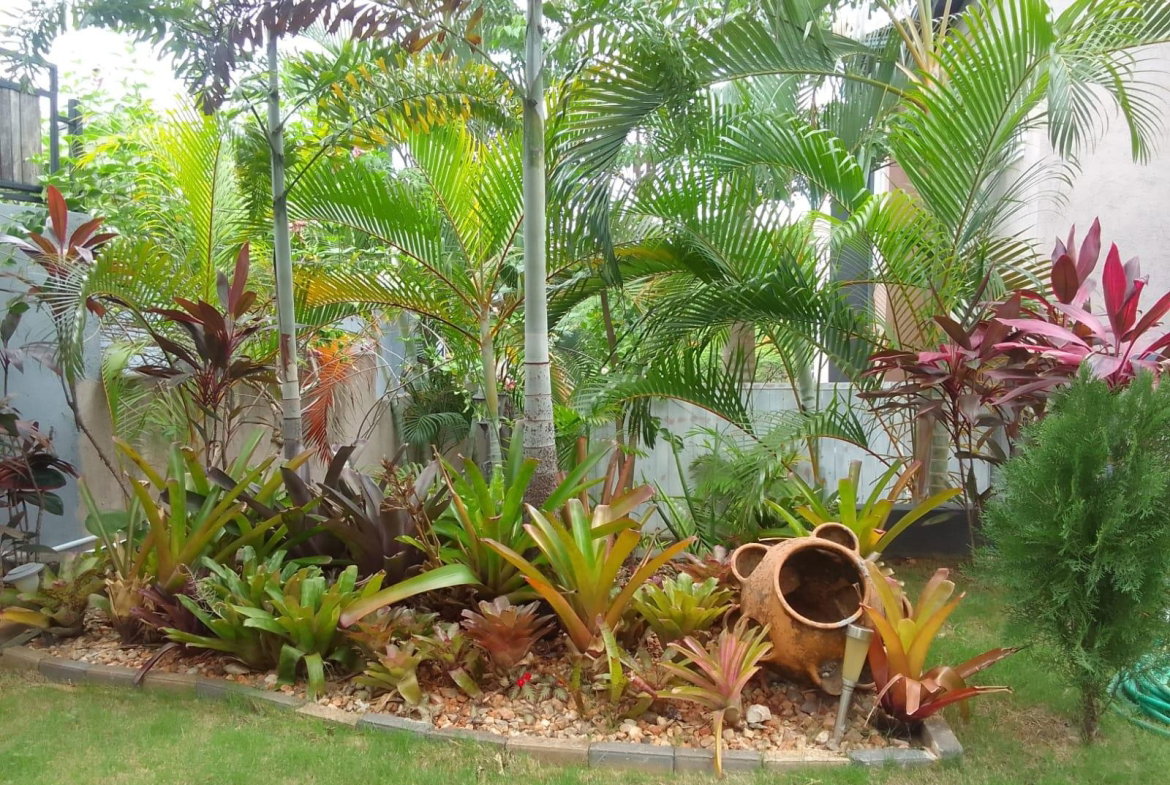 Eleventh image of 12 South Ambassador Heights in Kingston 8, St. Andrew, Jamaica - property is For Rent