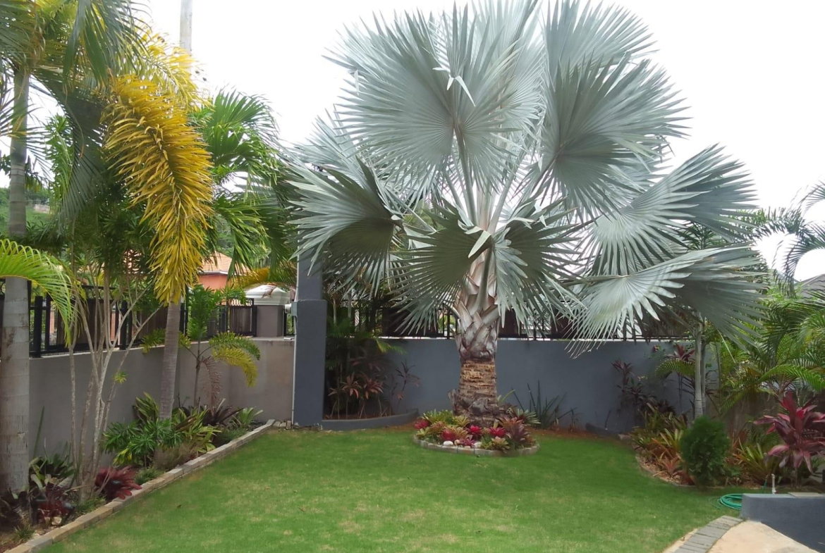 Sixth image of 12 South Ambassador Heights in Kingston 8, St. Andrew, Jamaica - property is For Rent