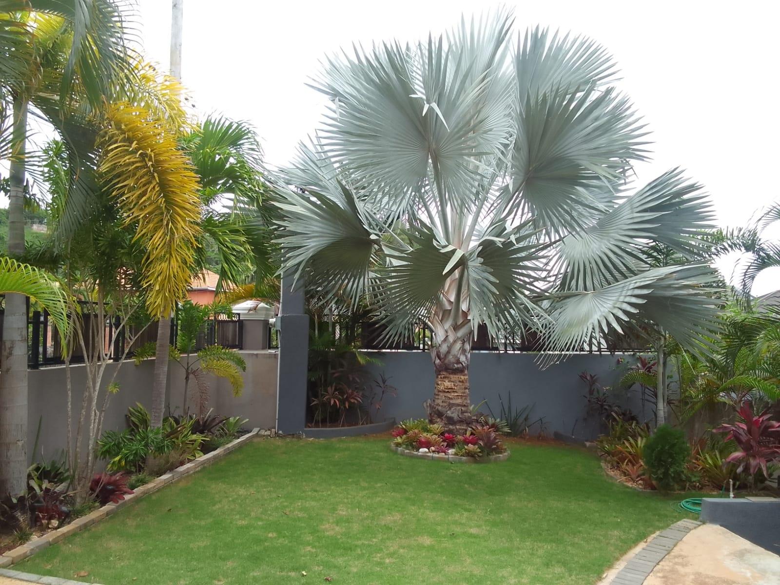 Sixth image of 12 South Ambassador Heights in Kingston 8, St. Andrew, Jamaica - property is For Rent