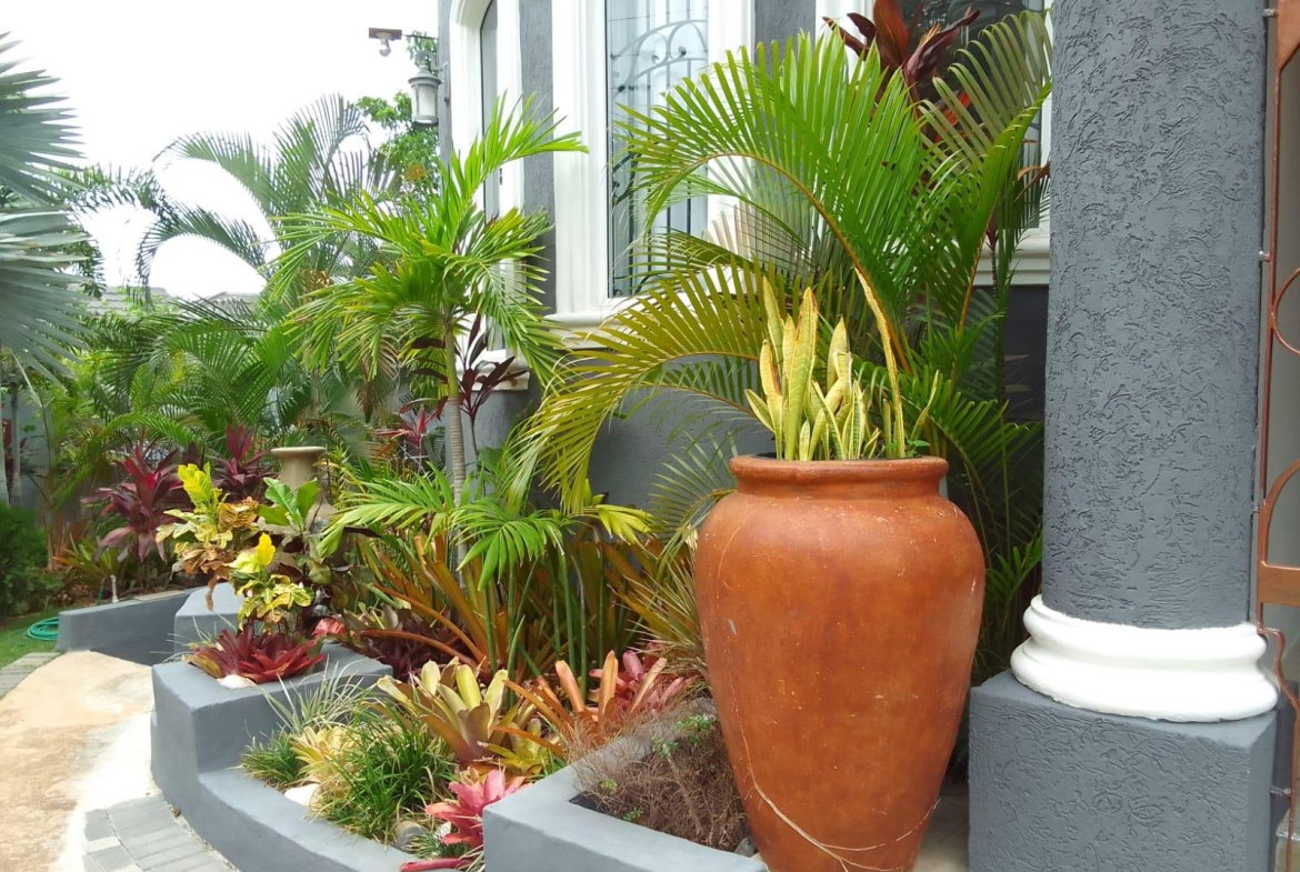 Eighth image of 12 South Ambassador Heights in Kingston 8, St. Andrew, Jamaica - property is For Rent