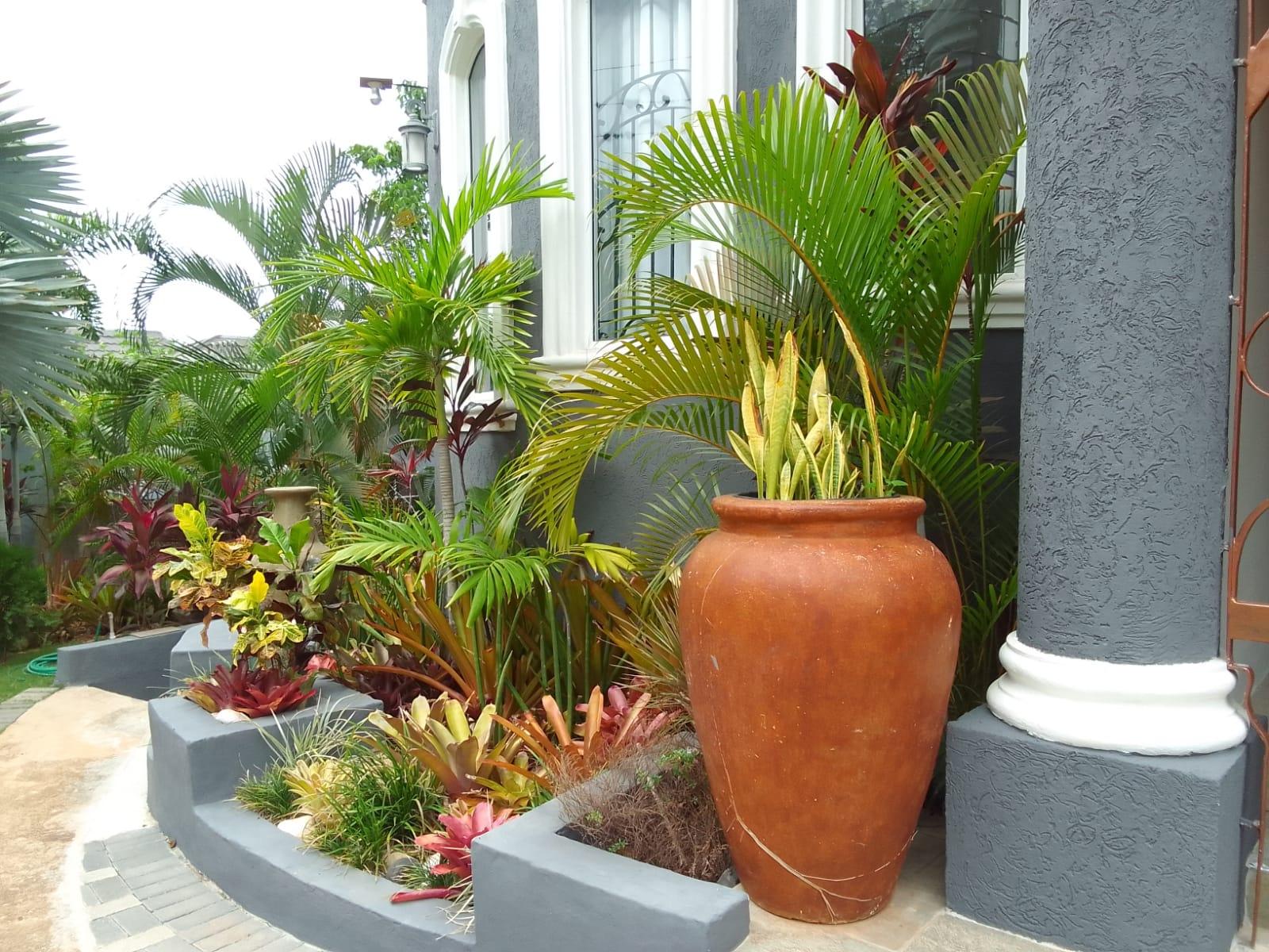 Eighth image of 12 South Ambassador Heights in Kingston 8, St. Andrew, Jamaica - property is For Rent