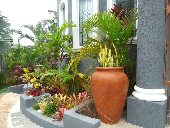 Eighth image of 12 South Ambassador Heights in Kingston 8, St. Andrew, Jamaica - property is For Rent