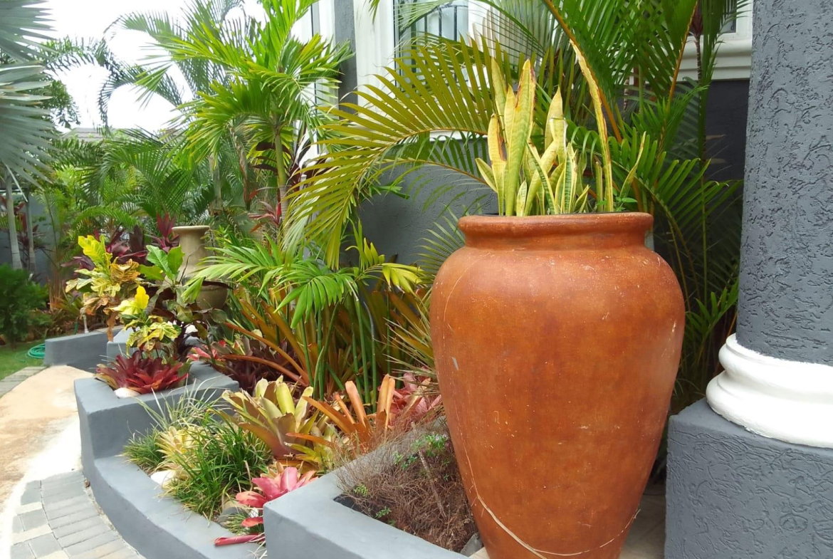 Ninth image of 12 South Ambassador Heights in Kingston 8, St. Andrew, Jamaica - property is For Rent
