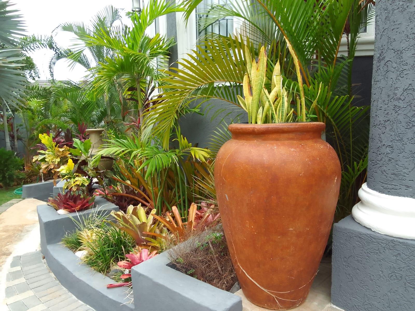 Ninth image of 12 South Ambassador Heights in Kingston 8, St. Andrew, Jamaica - property is For Rent
