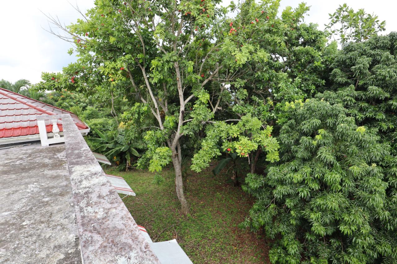 Twentieth image of 10 Ingleside Heights in Mandeville, Manchester, Jamaica - property is For Sale