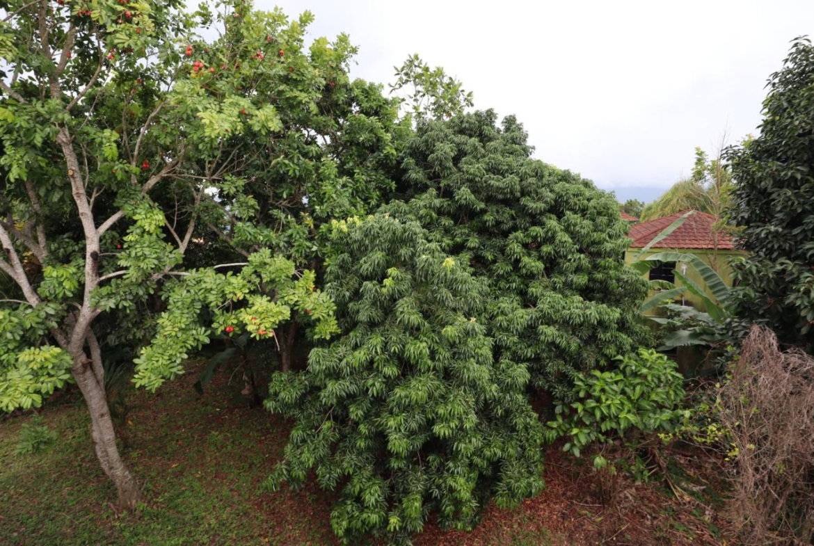Twenty-First image of 10 Ingleside Heights in Mandeville, Manchester, Jamaica - property is For Sale