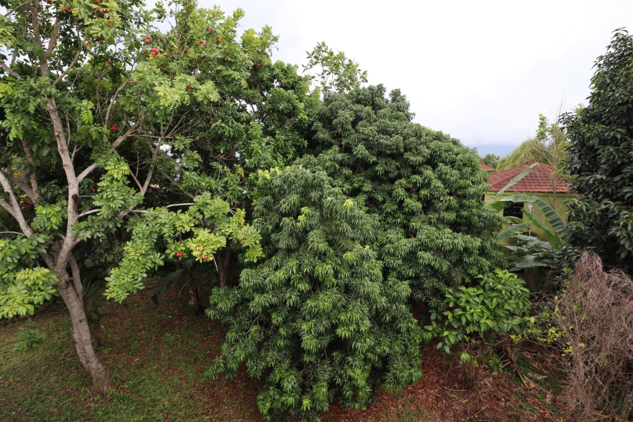 Twenty-First image of 10 Ingleside Heights in Mandeville, Manchester, Jamaica - property is For Sale