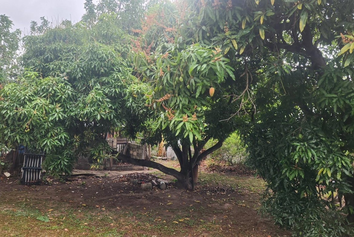 Twenty-First image of 9 John Wesley Avenue, Kings in Kingston 6, St. Andrew, Jamaica - property is For Sale