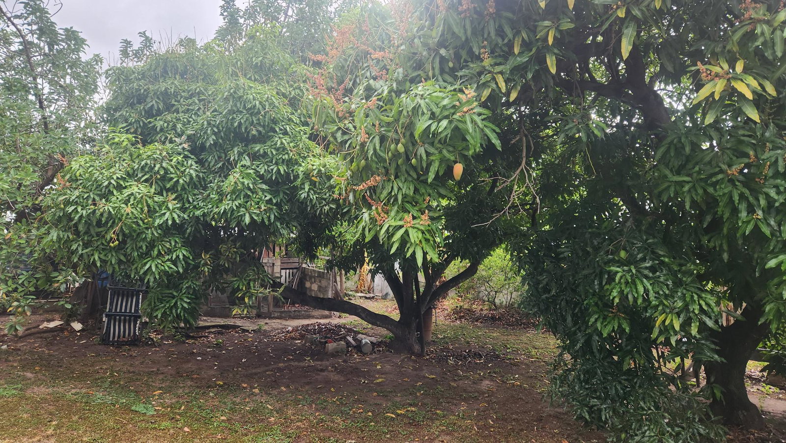 Twenty-First image of 9 John Wesley Avenue, Kings in Kingston 6, St. Andrew, Jamaica - property is For Sale