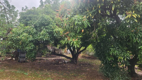 Twenty-First image of 9 John Wesley Avenue, Kings in Kingston 6, St. Andrew, Jamaica - property is For Sale