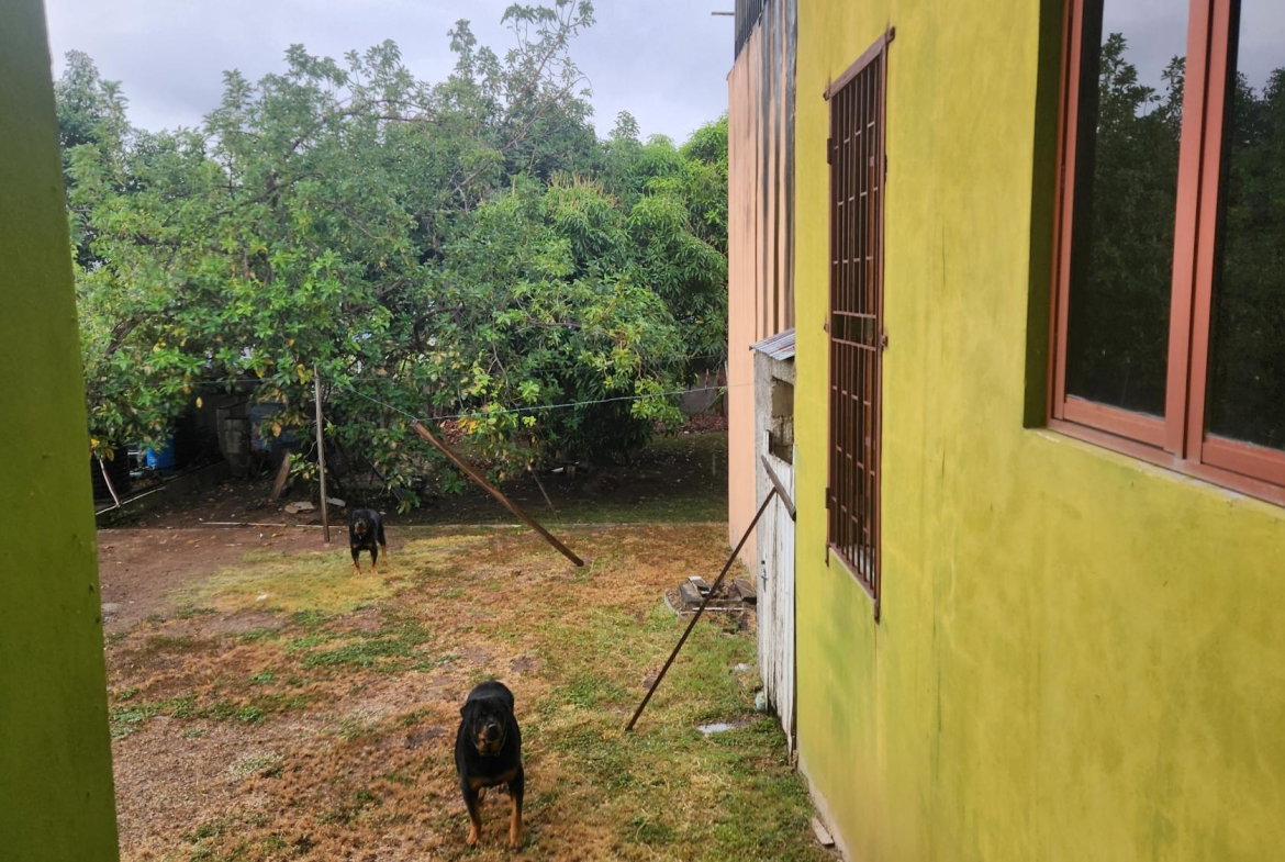 Twenty-Third image of 9 John Wesley Avenue, Kings in Kingston 6, St. Andrew, Jamaica - property is For Sale