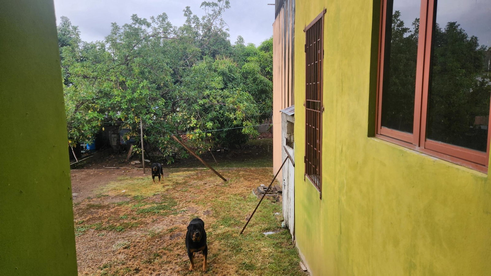 Twenty-Third image of 9 John Wesley Avenue, Kings in Kingston 6, St. Andrew, Jamaica - property is For Sale