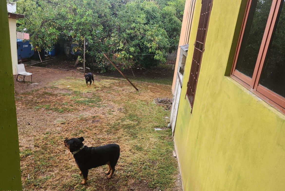 Twenty-Fourth image of 9 John Wesley Avenue, Kings in Kingston 6, St. Andrew, Jamaica - property is For Sale
