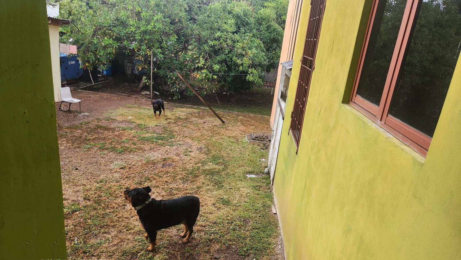 Twenty-Fourth image of 9 John Wesley Avenue, Kings in Kingston 6, St. Andrew, Jamaica - property is For Sale