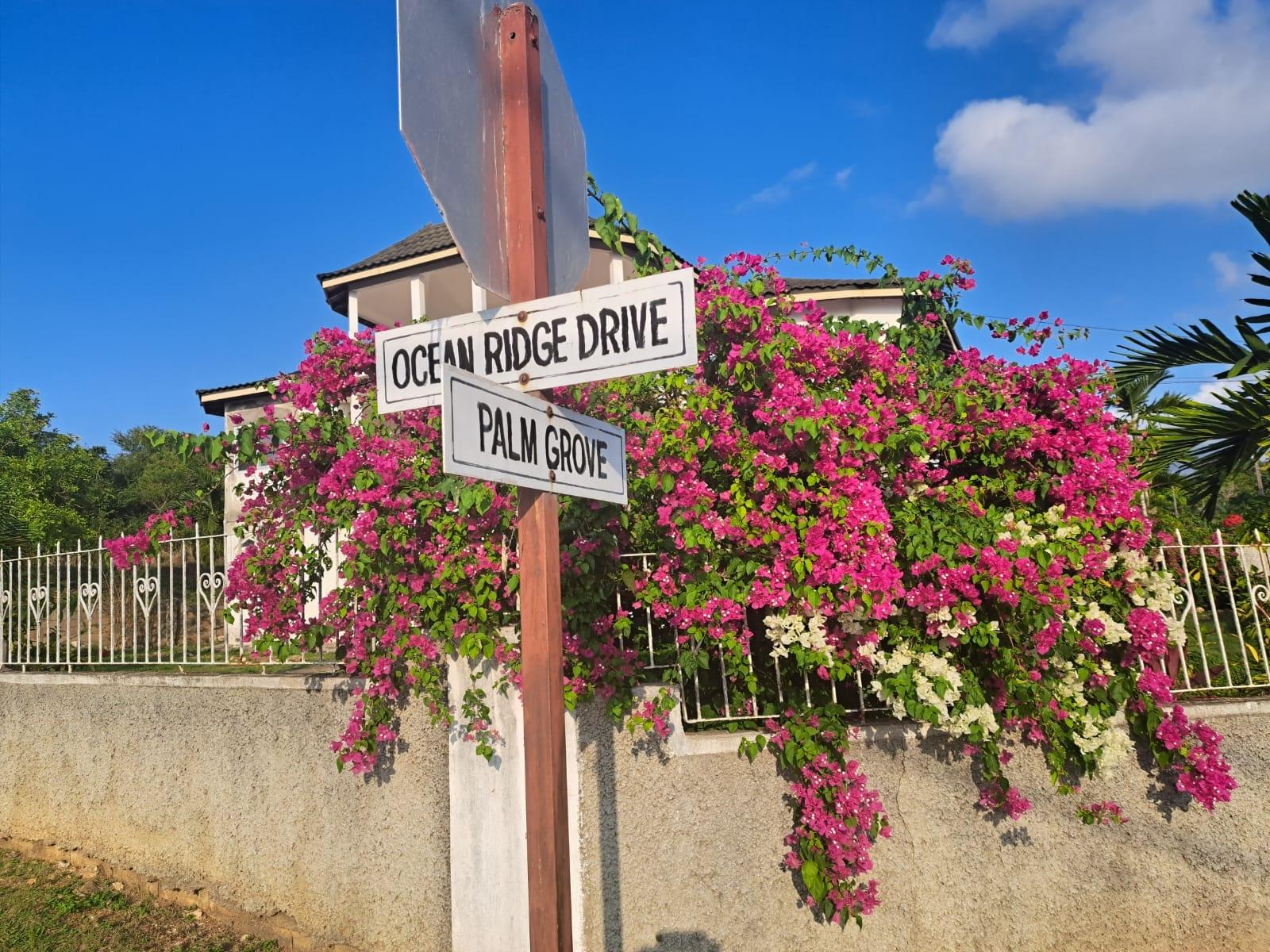 Nineteenth image of 1-63 Palm Grove in Tower Isle, St. Mary, Jamaica - property is For Rent