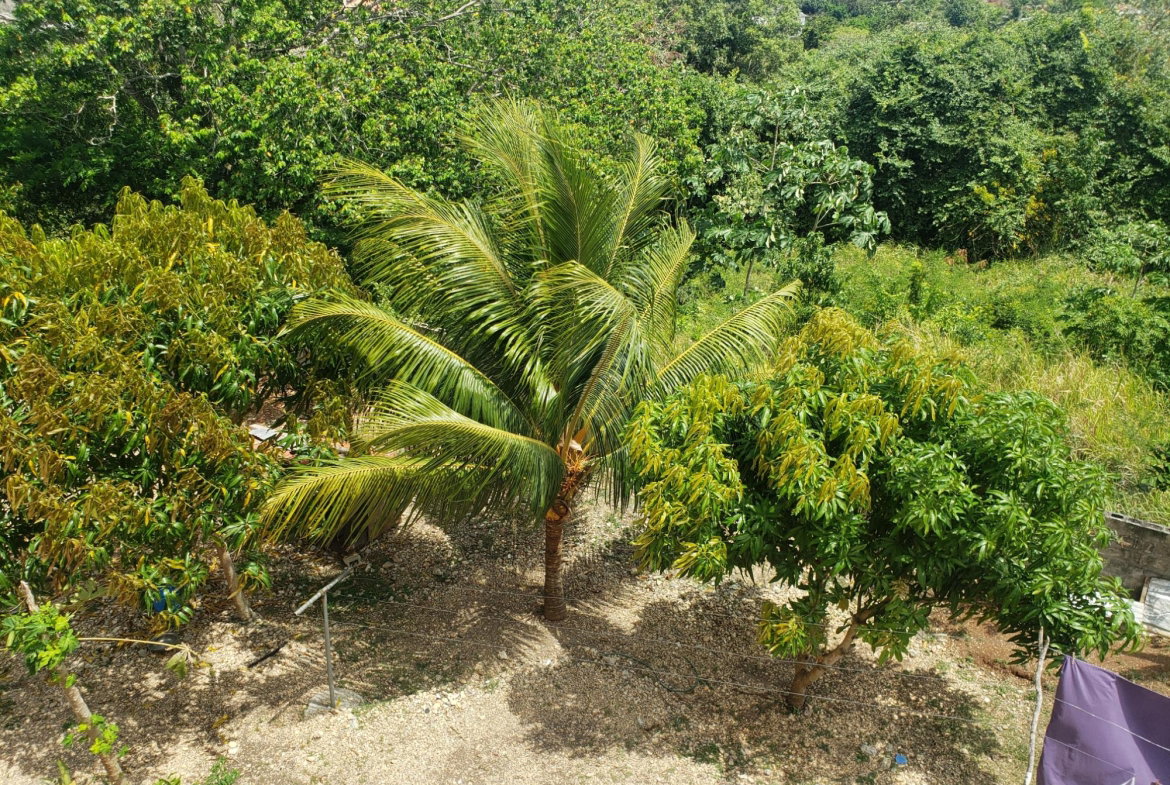 Nineteenth image of Upper B-142 Spring Valley Estate in Tower Isle, St. Mary, Jamaica - property is For Rent