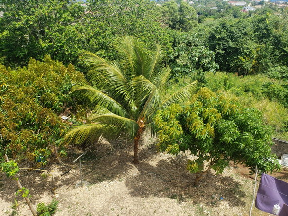 Nineteenth image of Upper B-142 Spring Valley Estate in Tower Isle, St. Mary, Jamaica - property is For Rent