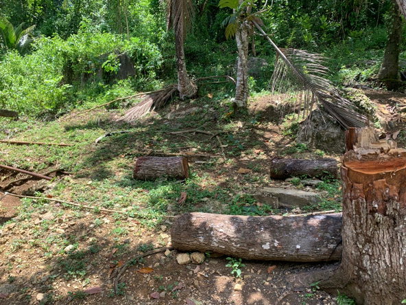 Eleventh image of Friendship in Friendship, Trelawny, Jamaica - property is For Sale
