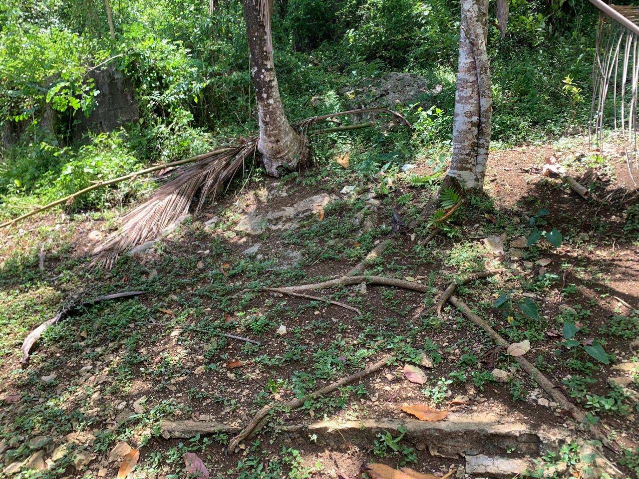 Twelfth image of Friendship in Friendship, Trelawny, Jamaica - property is For Sale