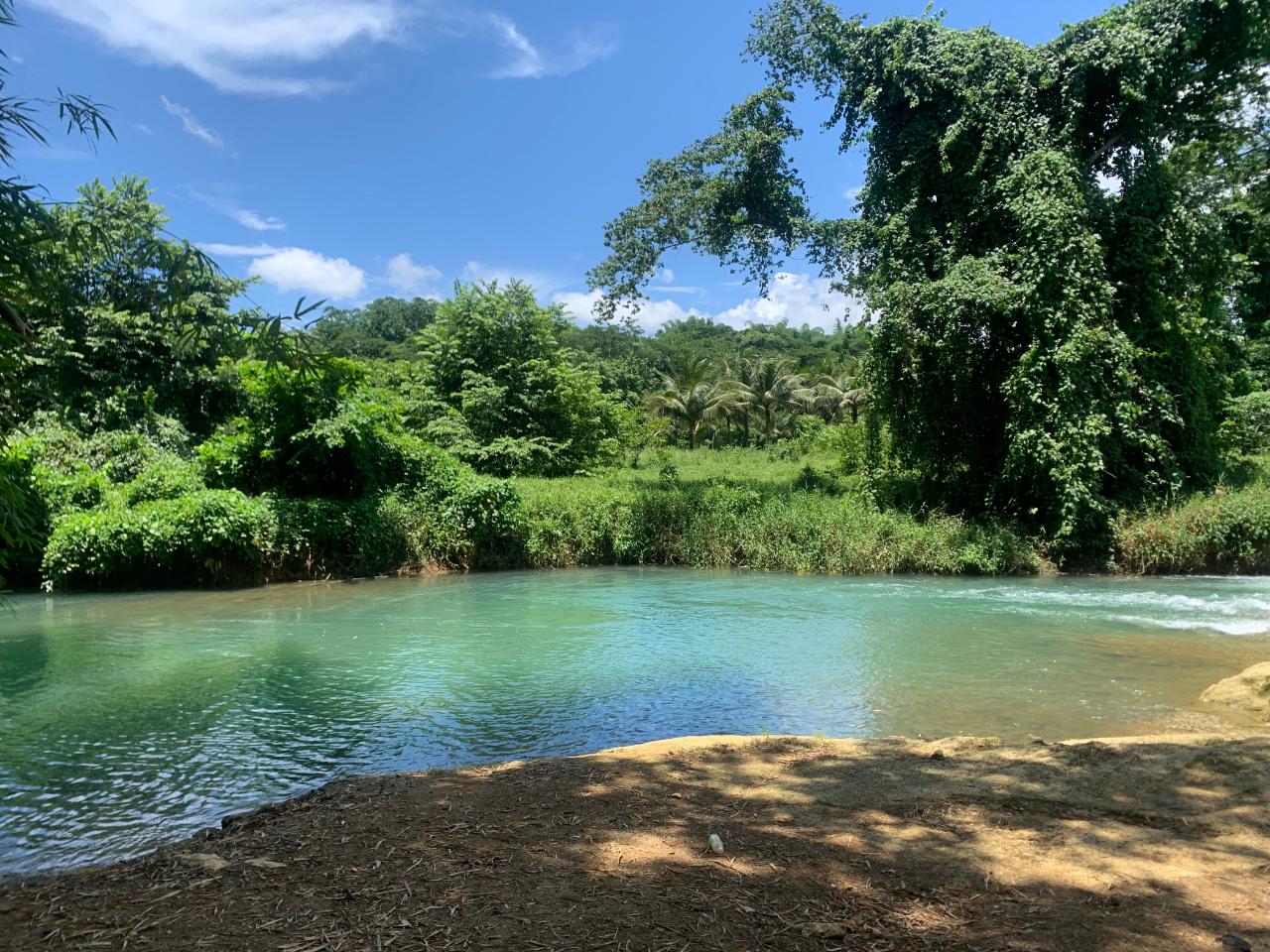 Sixteenth image of Friendship in Friendship, Trelawny, Jamaica - property is For Sale