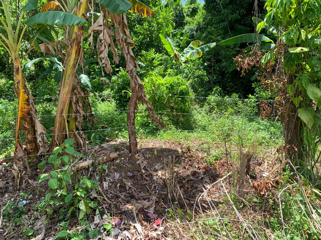 Ninth image of Friendship in Friendship, Trelawny, Jamaica - property is For Sale
