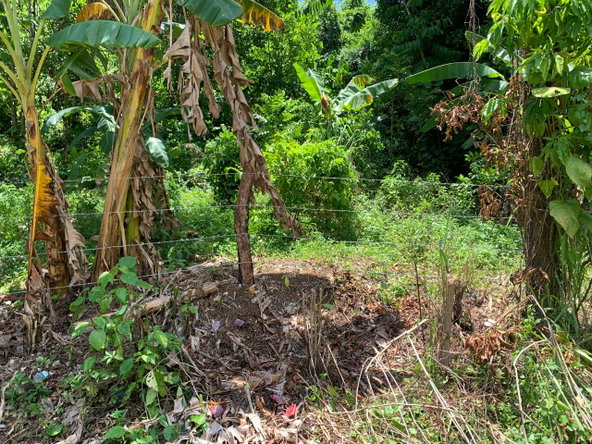 Ninth image of Friendship in Friendship, Trelawny, Jamaica - property is For Sale