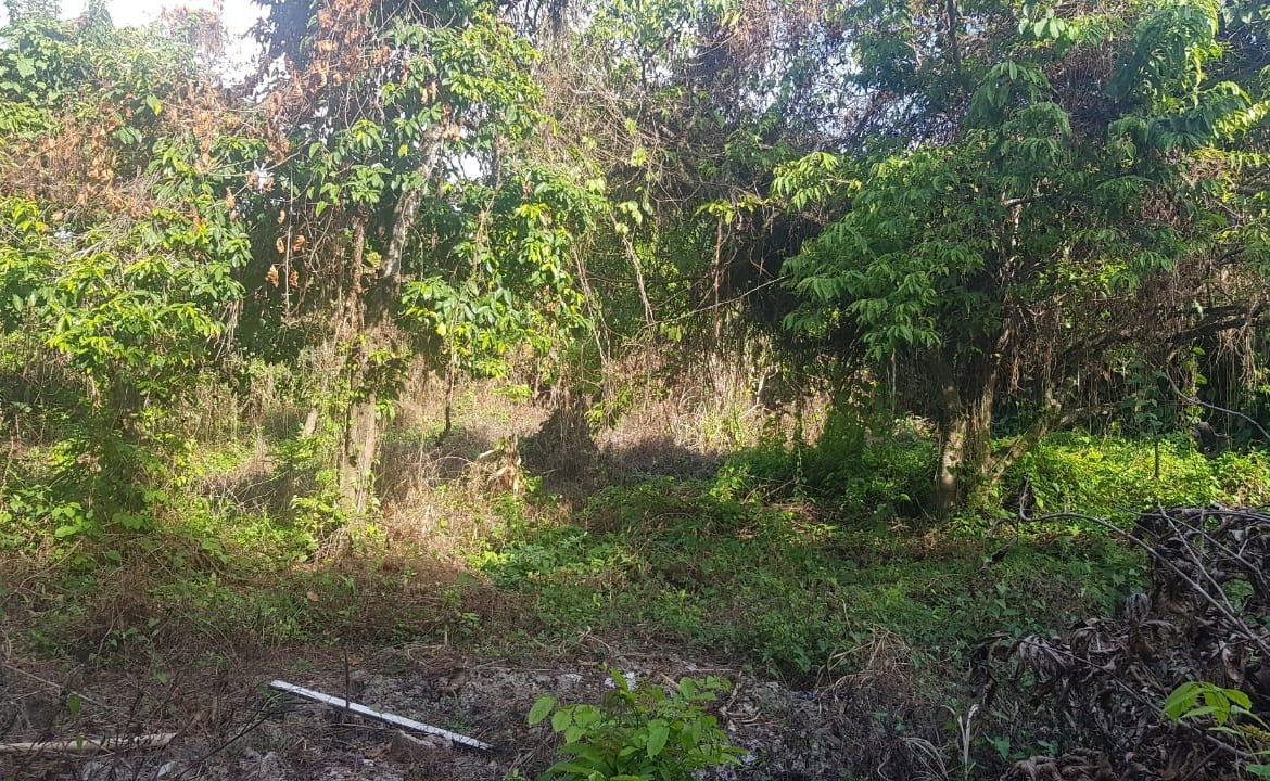 Seventh image of Marrakech, Huddersfield in Boscobel, St. Mary, Jamaica - property is For Sale