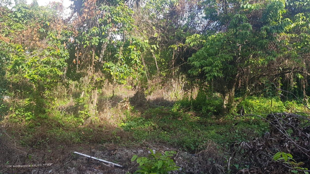 Spacious-5-Bedroom-House-for-Sale-in-Marrakech-Huddersfield-Jamaica Seventh image of Marrakech, Huddersfield in Boscobel, St. Mary, Jamaica - property is For Sale