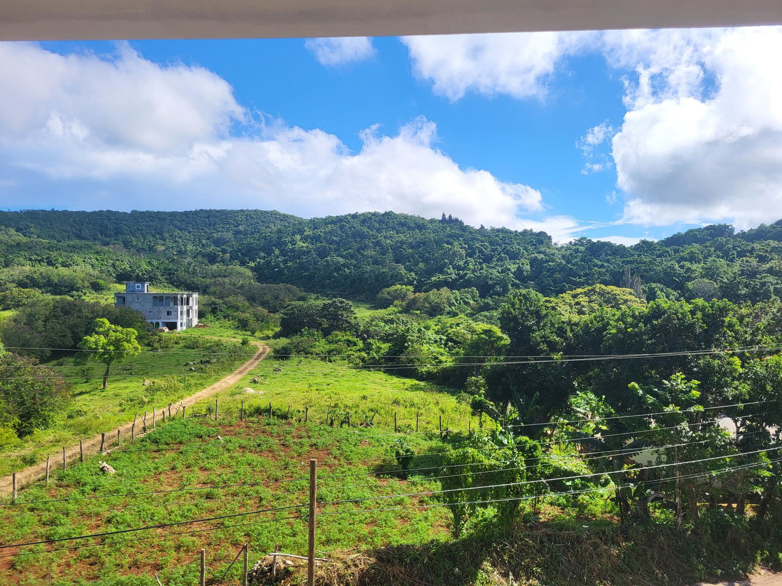 Fourteenth image of mt Prospect, Manchester in MOUNT PROSPECT, Manchester, Jamaica - property is For Sale