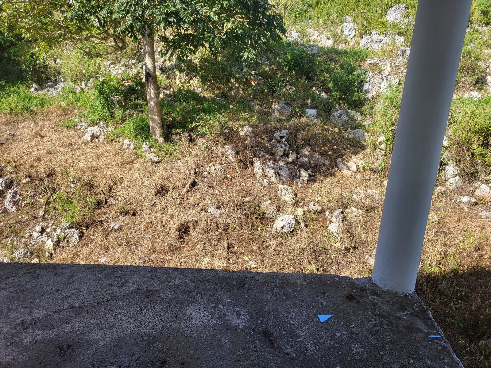Fifteenth image of mt Prospect, Manchester in MOUNT PROSPECT, Manchester, Jamaica - property is For Sale