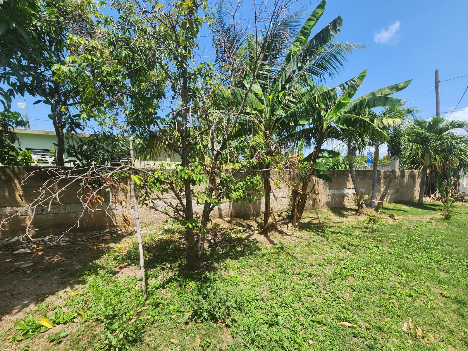 Eighth image of Lues Crescent in Old Harbour, St. Catherine, Jamaica - property is For Sale