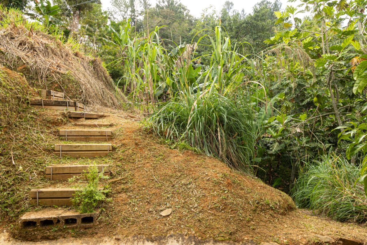 Fourteenth image of Peter's Rock, Woodford in Woodford, St. Andrew, Jamaica - property is For Sale