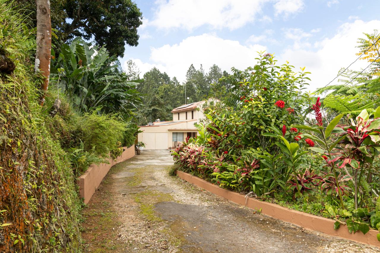 Third image of Peter's Rock, Woodford in Woodford, St. Andrew, Jamaica - property is For Sale