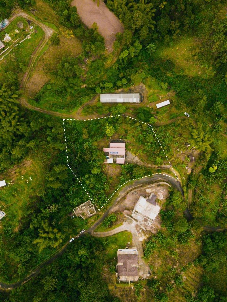 Sixth image of Peter's Rock, Woodford in Woodford, St. Andrew, Jamaica - property is For Sale