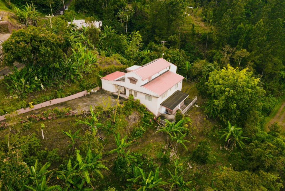 Seventh image of Peter's Rock, Woodford in Woodford, St. Andrew, Jamaica - property is For Sale