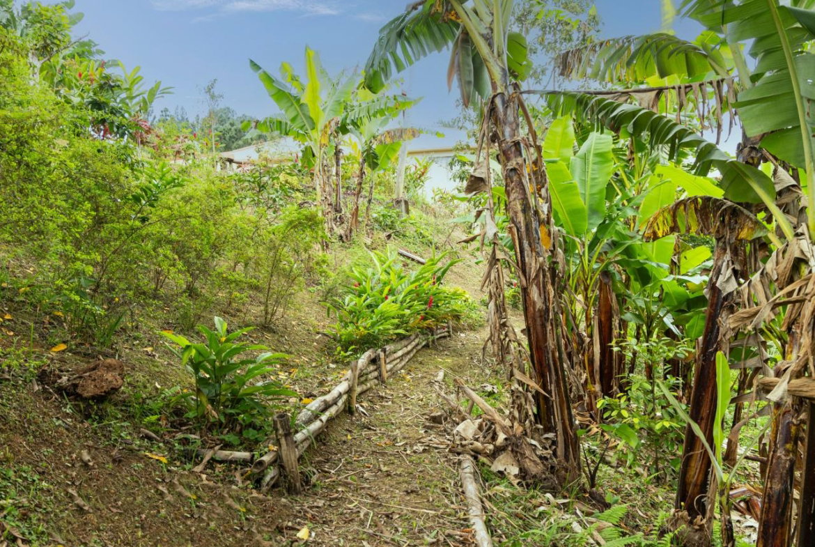 Ninth image of Peter's Rock, Woodford in Woodford, St. Andrew, Jamaica - property is For Sale