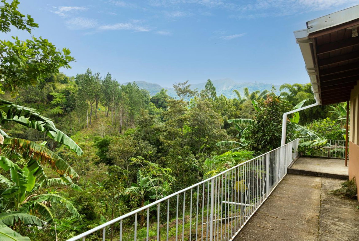 Tenth image of Peter's Rock, Woodford in Woodford, St. Andrew, Jamaica - property is For Sale