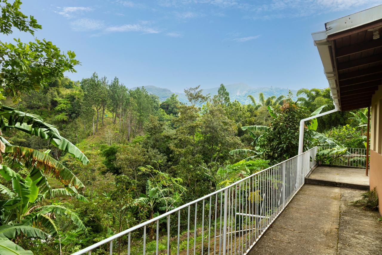 Tenth image of Peter's Rock, Woodford in Woodford, St. Andrew, Jamaica - property is For Sale