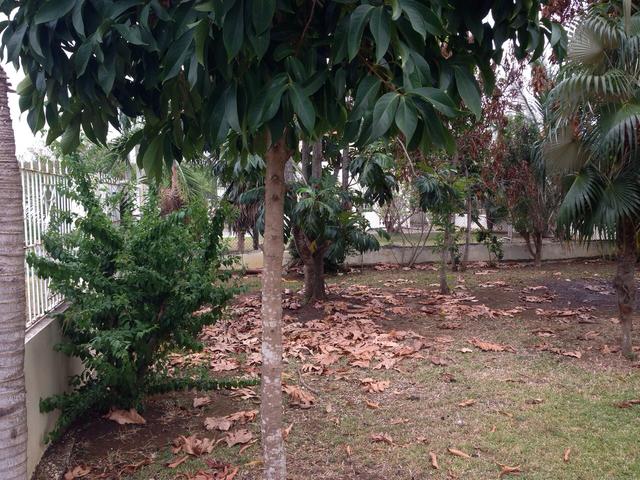 Eighteenth image of Ironshore, Negril in Negril, Westmoreland, Jamaica - property is For Sale